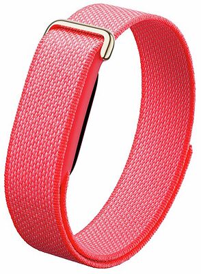 Fitbit Air