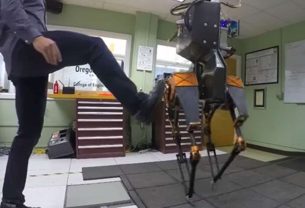 Tämä kaksijalkainen robotti tasapainoilee potkuja vastaan