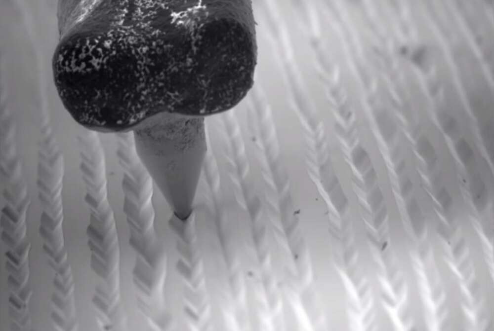 Tältä vinyylisoittimen toiminta näyttää mikroskoopin alla hidastettuna