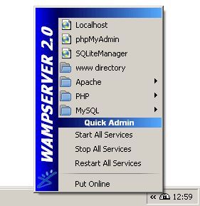 wampserver 2.0 free download for windows 8 64 bit
