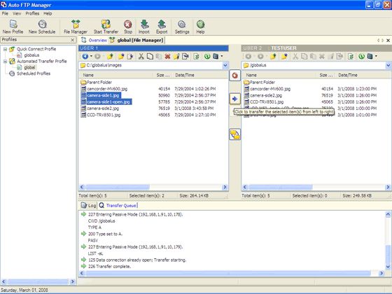 winscp synchronize directories automatically