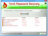 Torch Password Recovery v1.0