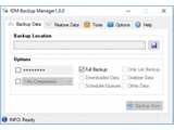 IDM Backup Manager (portable) v1.0.0