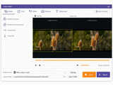 Apeaksoft Video Editor v1.0.8.0