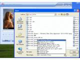 Free Video MP3 Extractor v1.12