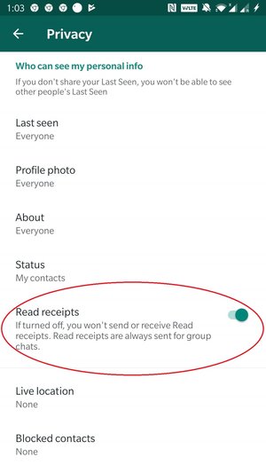 whatsapp read receipts without online