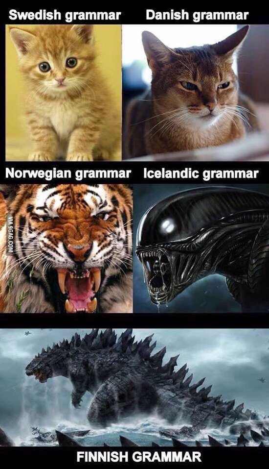 Finnish Grammar meme