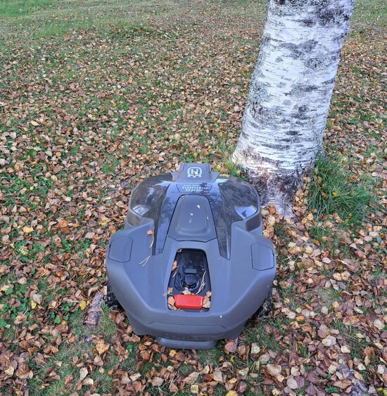 Husqvarna 430X NERA jumissa puun juurakossa