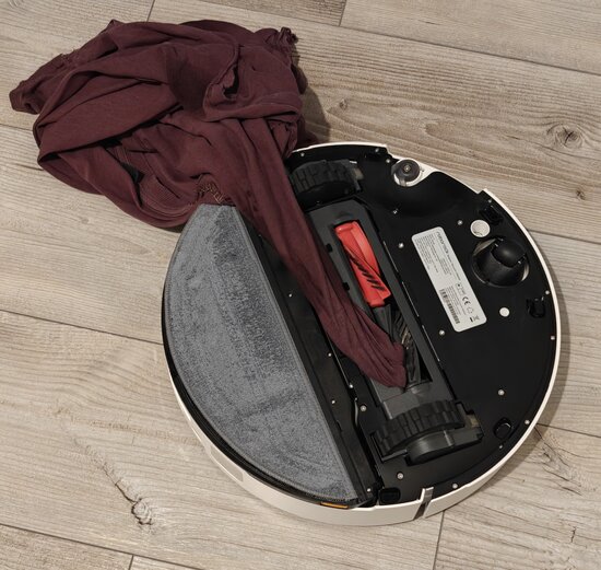 Saros 10 has eaten a shirt left on the floor