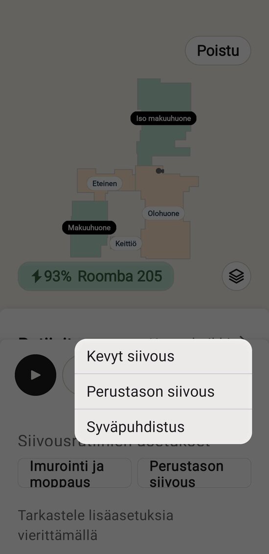 Perusteellinen siivous vai pikasiivous