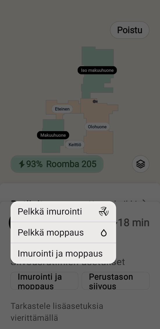 Valitaan moppaus, imurointi tai molemmat