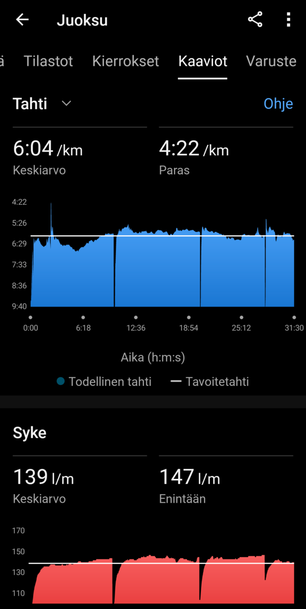 Yhden juoksulenkin statistiikkaa, ruutukaappaus 6