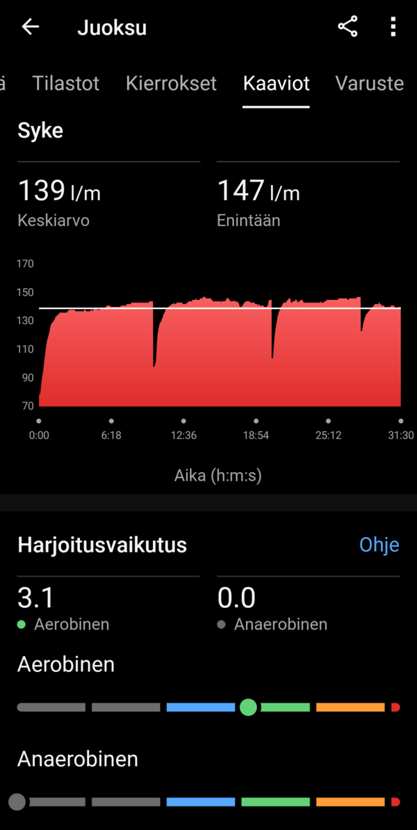 Yhden juoksulenkin statistiikkaa, ruutukaappaus 7