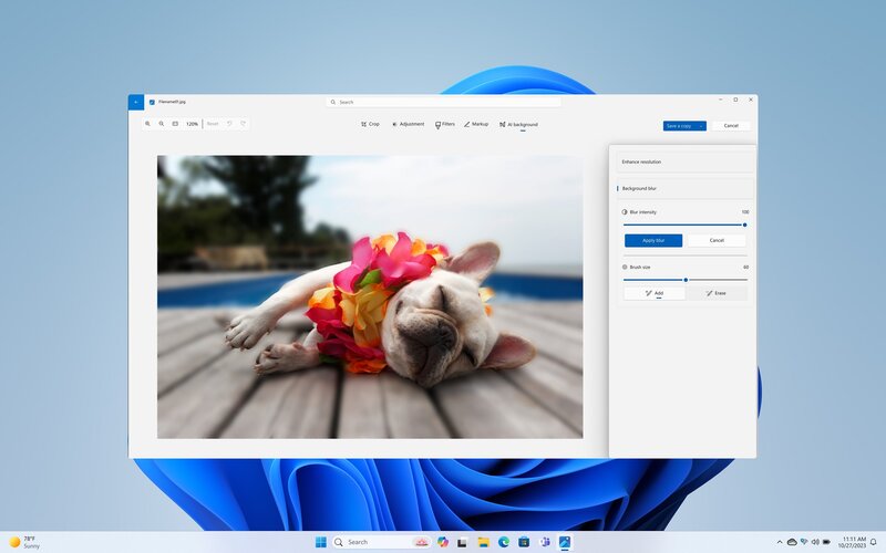 Windows Valokuvat ohjelma auki Windows-koneella. Ohjelmassa on koira, jonka tausta on sumennenttu