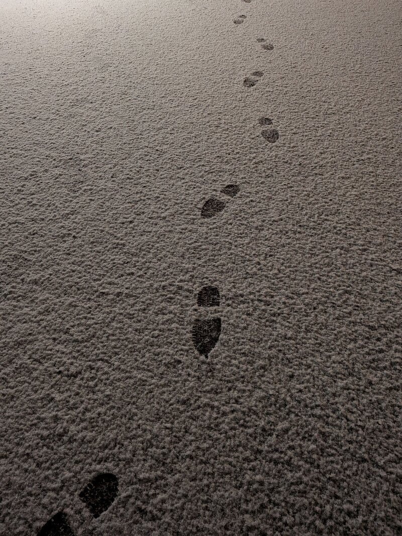 Pixel 10a, esimerkkikuva 3