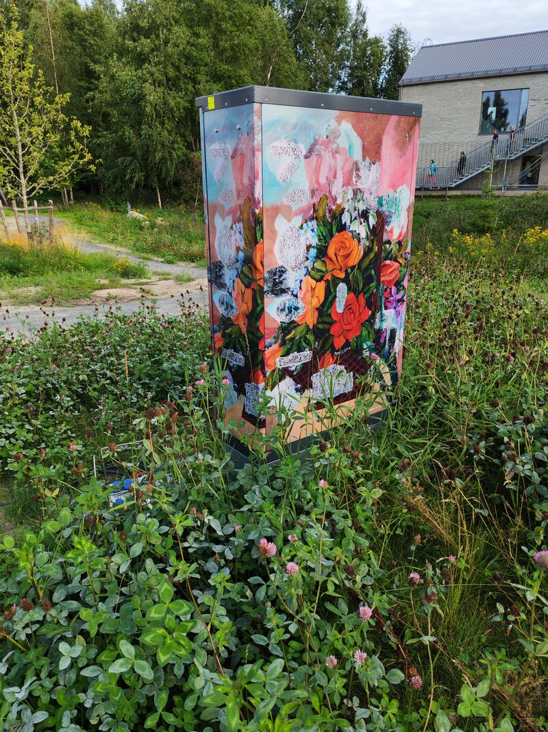Maalattu muuntaja, kuva pkameralla