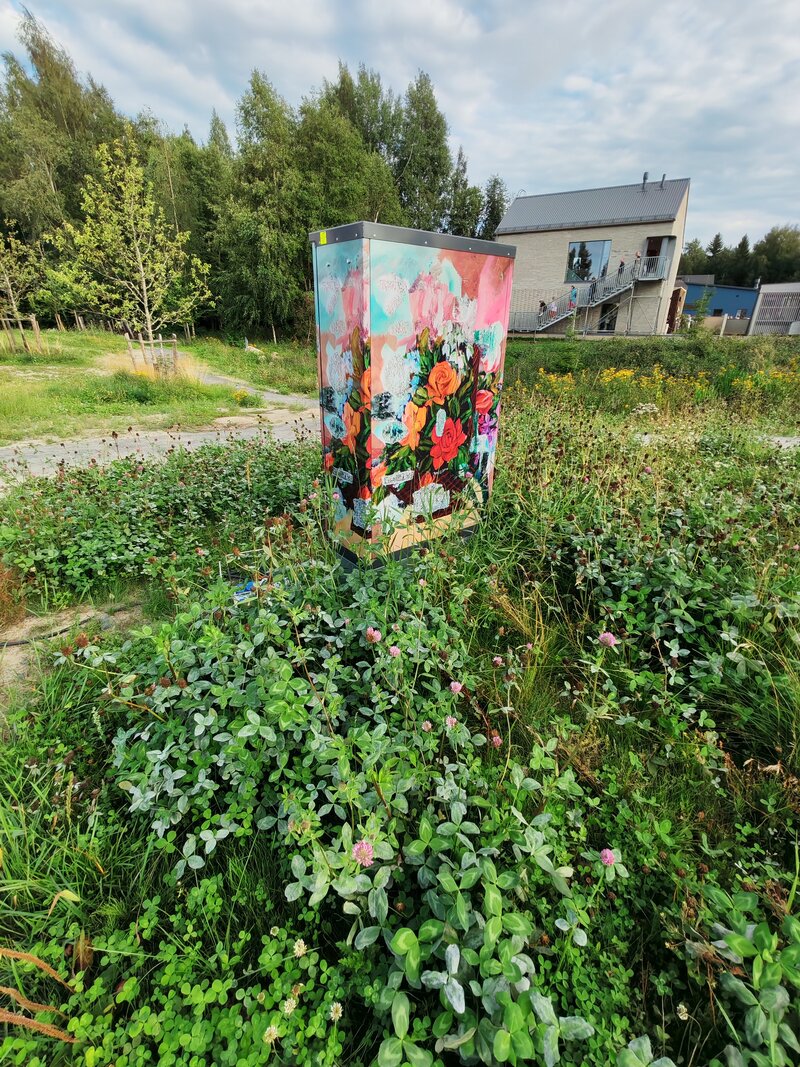 Maalattu muuntaja, kuva ultralaajakulmakameralla