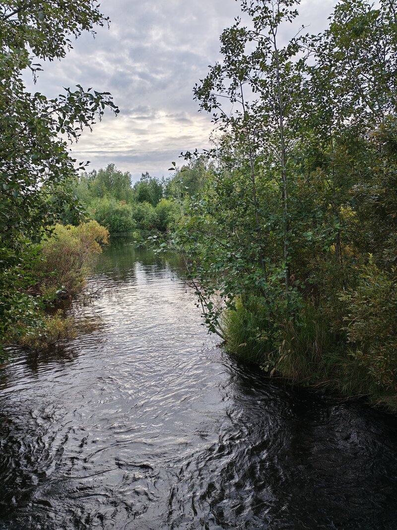 Maisema, pkamera