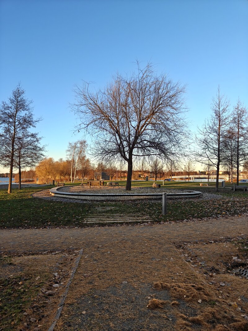 OnePlus 15 esimerkkikuvia, ryhmä 2, pääkameralla otettu kuva