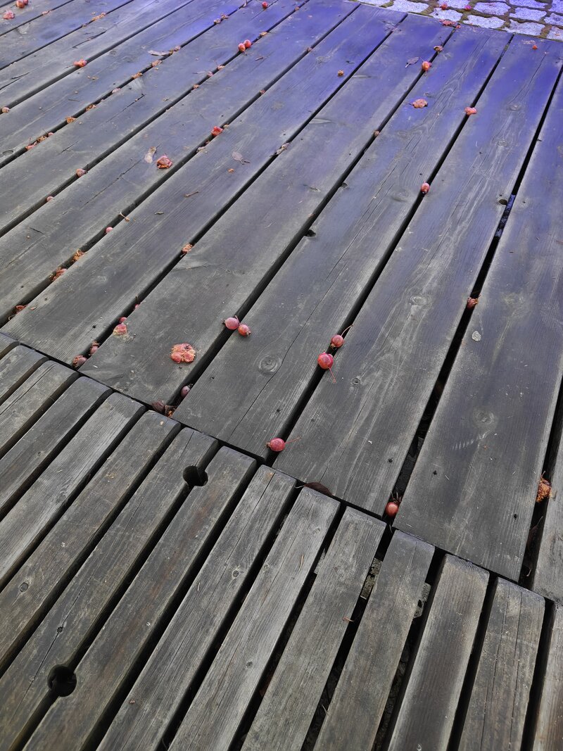 OnePlus 15 esimerkkikuvia, ryhmä 3, pääkameralla otettu kuva