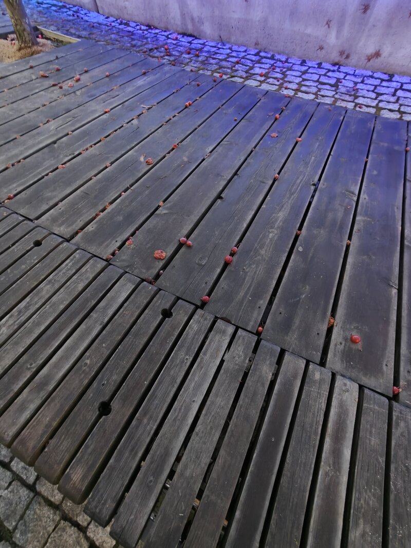 OnePlus 15 esimerkkikuvia, ryhmä 3, ultralaajakulmakameralla otettu kuva