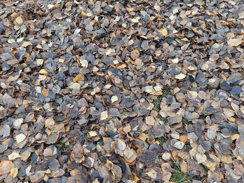 OnePlus 15 esimerkkikuvia, ryhmä 5, pääkameralla otettu kuva