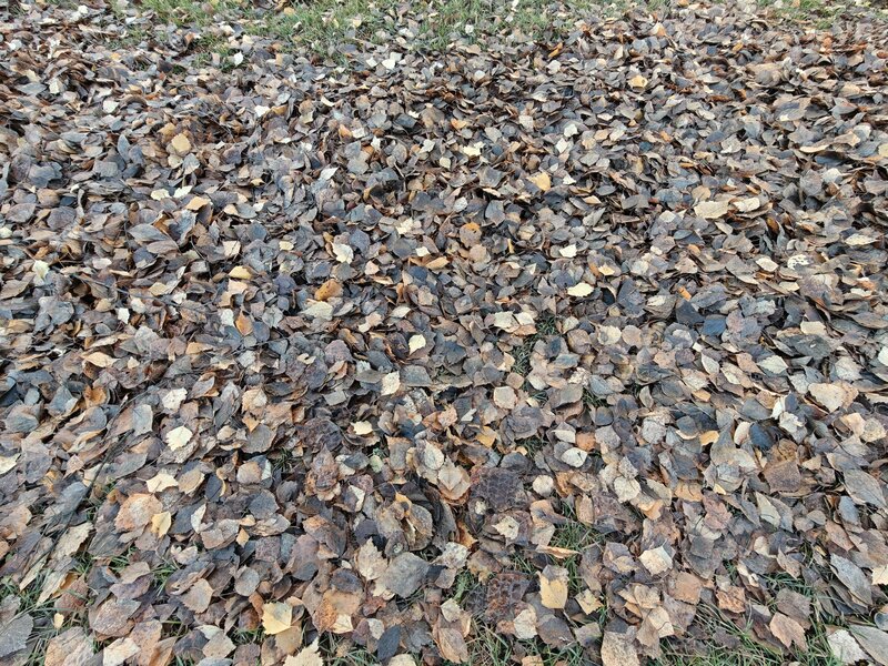 OnePlus 15 esimerkkikuvia, ryhmä 5, ultralaajakulmakameralla otettu kuva