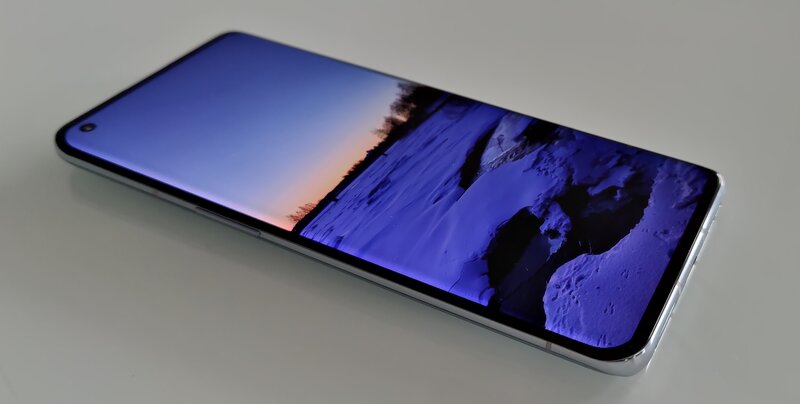 OnePlus 9 Pro display