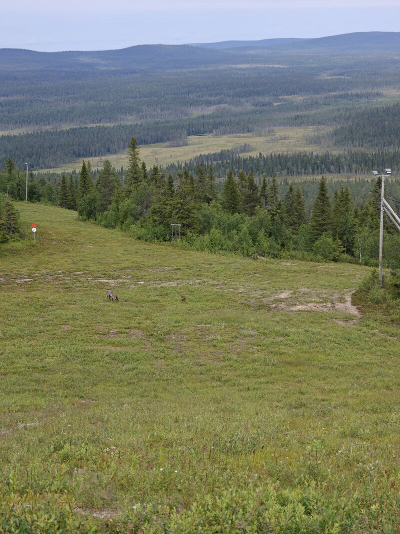 Esimerkkikuva 4, telekamera, 3x zoom