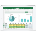 Office-for-iPad-Excel.png