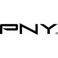 PNY bundler et spil med sine Class 10 Micro SDHC kort