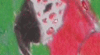 FixVTS:n ja MenuShrinkin kehitys jäissä