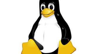Uuden Linux 3.10:n avainsanat: SSD-välimuisti, Radeon-ajurit ja big.LITTLE