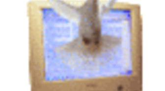 EFFI: Omankädenoikeus ei kuulu Internettiin