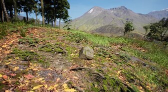 Peli, jossa sinä olet kivi