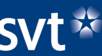 Ruotsalaisfirmoille sadalla miljoonalla tv-maksuja?