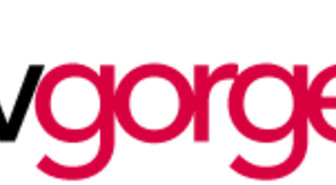 MPAA:n uhkaukset ajoivat TVGorgen muutoksiin