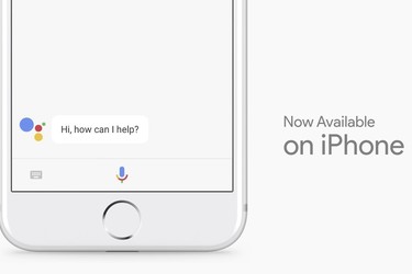 Google Assistant saapui iPhonelle
