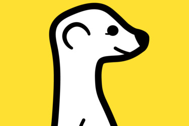 Meerkat – tuorein must have -mobiilisovellus
