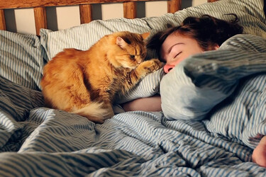 OpenAI lakkauttaa videoita tekoälyllä luovan Soran - Disney vetäytyy samalla yhteistyöstä