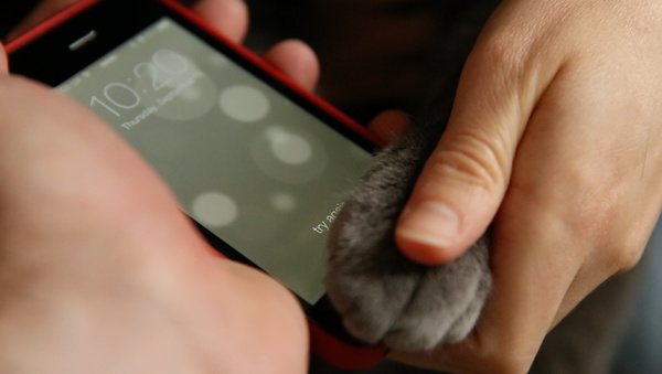 iPhone 5S fingerprint scanner easily registers cat's paw