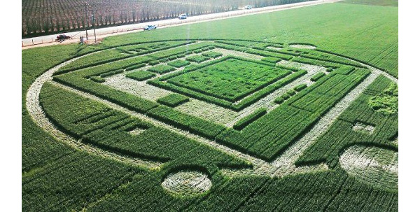 Giant crop circle actually a Nvidia CES stunt?