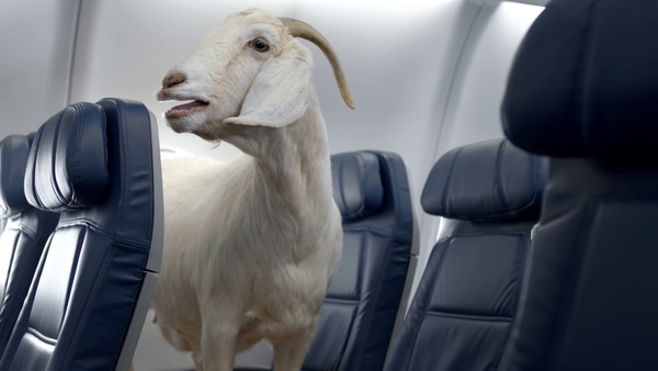Watch Delta Airlines' meme-packed safety video