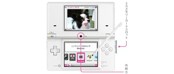 DSi sales in Japan top 500,000 for the month