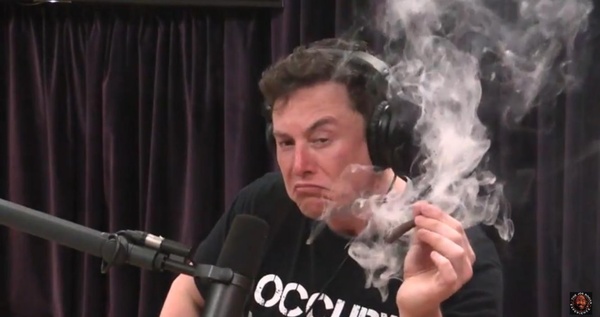 WATCH: Elon Musk smokes weed, talks AI, love and chimpanzees with Joe Rogan