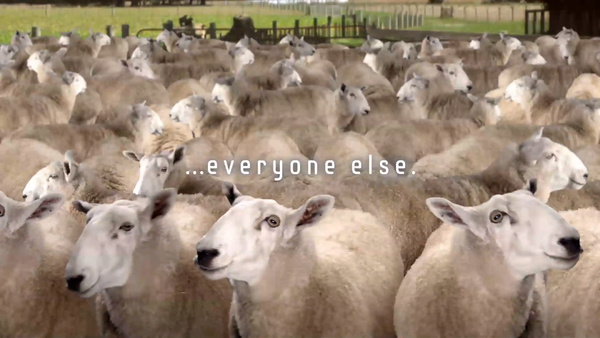 Samsung subtly calls Apple fans 'sheep'