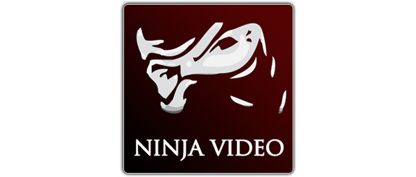 NinjaVideo admins plead guilty and face jailtime