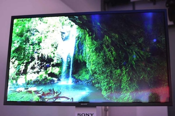 Sony denies it has halted OLED development