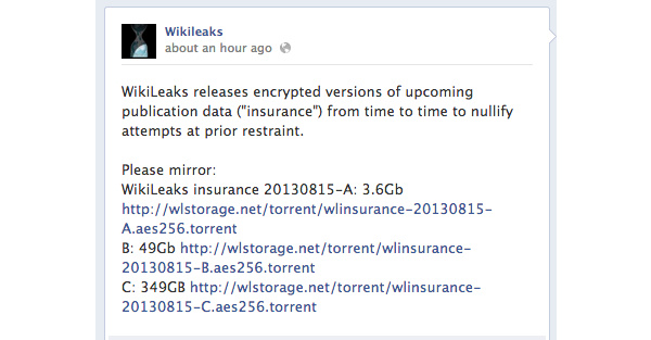 Wikileaks releases 400GB encrypted file as 'insurance'