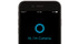 Cortana julkaistiin Androidille ja iOS:lle
